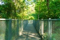 Walk way in the forest Royalty Free Stock Photo