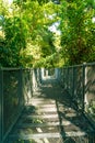 Walk way in the forest Royalty Free Stock Photo