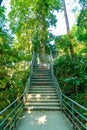 Walk way in the forest Royalty Free Stock Photo