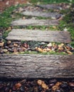 Wet Walk way in the garden after rain Royalty Free Stock Photo