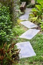 Walk way in the green garden with flowers Royalty Free Stock Photo