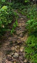 Walk way hill upright eastern Thailand Royalty Free Stock Photo