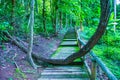 Walk way in Jedsee fountain forest park Royalty Free Stock Photo