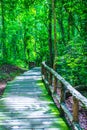 Walk way in Jedsee fountain forest park Royalty Free Stock Photo