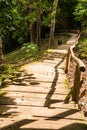 Walk way in Jedsee fountain forest park Royalty Free Stock Photo