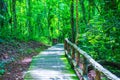 Walk way in Jedsee fountain forest park Royalty Free Stock Photo