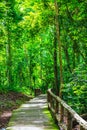 Walk way in Jedsee fountain forest park Royalty Free Stock Photo