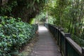 The walk way from nature wood for walk in sun moon lake at taiwan Royalty Free Stock Photo