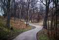 The walk way Royalty Free Stock Photo