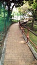 Walk way Path through the Garden Royalty Free Stock Photo