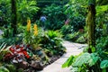 Walk way Path through the Garden Royalty Free Stock Photo