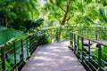 Walk way Path through the Garden Royalty Free Stock Photo