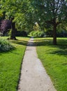 Walk way path Royalty Free Stock Photo