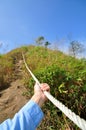 Walk way and sedgy Royalty Free Stock Photo