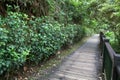 The walk way from wood for walk in sun moon lake at taiwan. Royalty Free Stock Photo