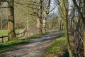 A path in the forest at sprintime.