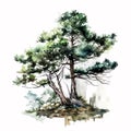 A Walk in the Woods: Watercolor Pine Trees to Take Your Breath Away AI Generated