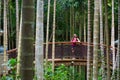 Walk in the Yalong Bay Tropic Paradise Forest Park, Hainan, Chin Royalty Free Stock Photo