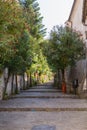 A walkay street leading upwards in Italy Royalty Free Stock Photo