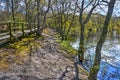 Walkbridge and pond in the dunes