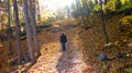 Walker in autumn forest