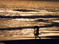 Walker on beach, Puri Sea, Orissa, India Royalty Free Stock Photo
