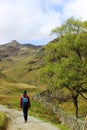 Walker footpath, Grisedale, English Lake District Royalty Free Stock Photo