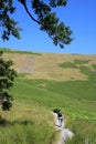 Walker on mountain footpath on hot, sunny day