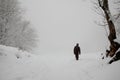 Walker in snowy countryside
