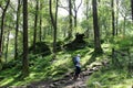 Walker on steps, footpath through woodland glade.