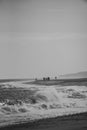 Walkers on a beach in winter