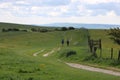 Walkers countryside england