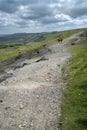 Couple on Rocky Road