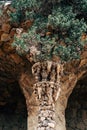 Walking alleys in the Park Guell, Barcelona, Spain. Royalty Free Stock Photo