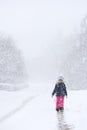 Walking alone in the snow storm Royalty Free Stock Photo
