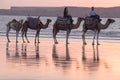 Walking along the beach at Sunset Royalty Free Stock Photo