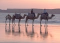 walking along the beach at Sunset Royalty Free Stock Photo