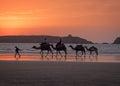 Walking along the beach at Sunset Royalty Free Stock Photo