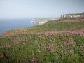 Walking along the the coastal path at bempton east coast yorkshire. Royalty Free Stock Photo