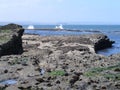 Walking along the the coastal path on filey brigg east coast yorkshire. Royalty Free Stock Photo