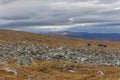 Walking along the Padjelanta in the Sarek National Park in northern Sweden