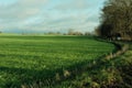 Walking along a sun-dappled path through a lush green field of grass, enjoying the outdoors