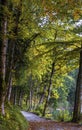 Walking at Alpsee