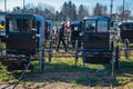 Walking Among Amish Buggies at Sale Royalty Free Stock Photo