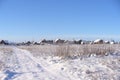 Russian winter forest