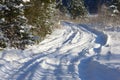 Russian winter forest