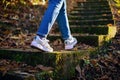 Walking in the autumn forrest Royalty Free Stock Photo