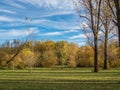 Walking in the autumn park in good weather.