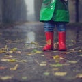 Walking in autumn rainy park Royalty Free Stock Photo