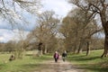 Walking in avenue of trees, Levens Hall Deer Park